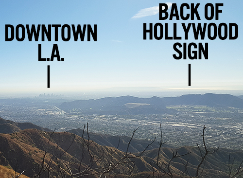 Scotch Wichmann in the Verdugo Mountains, with views of downtown L.A. and the backside of the Hollywood sign