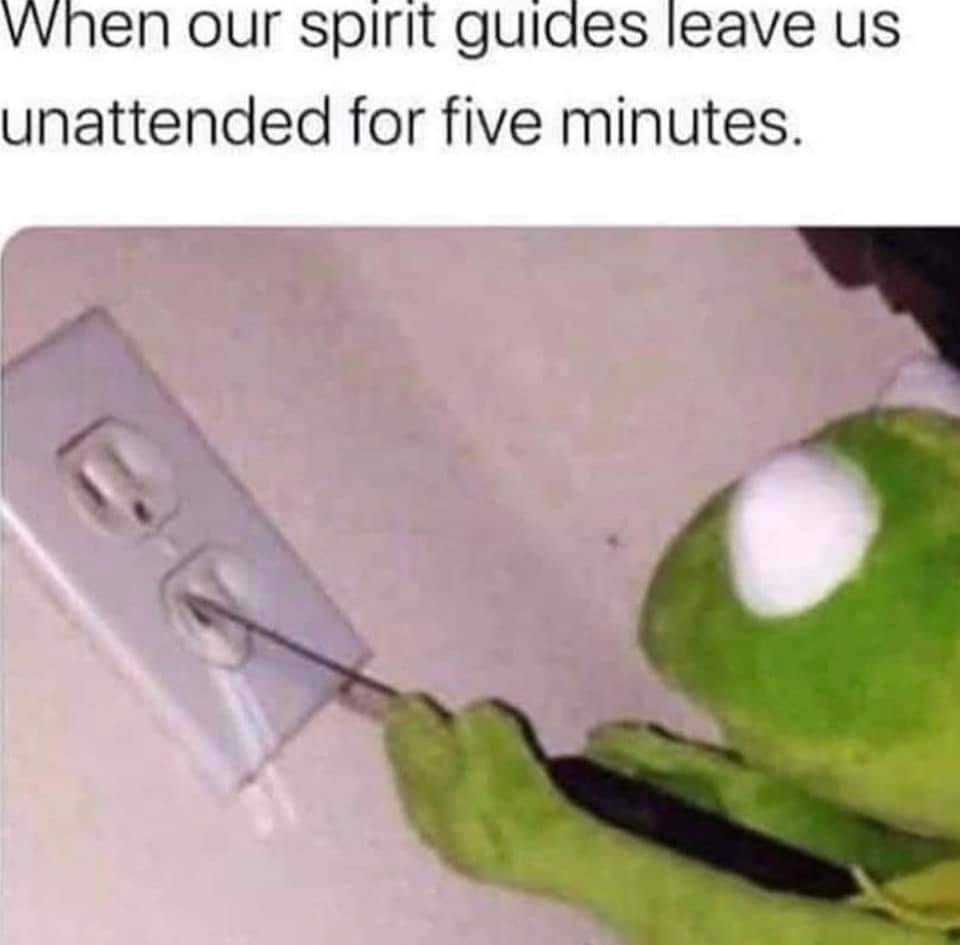 When your spirit guide leaves you alone for a second, you're fucked
