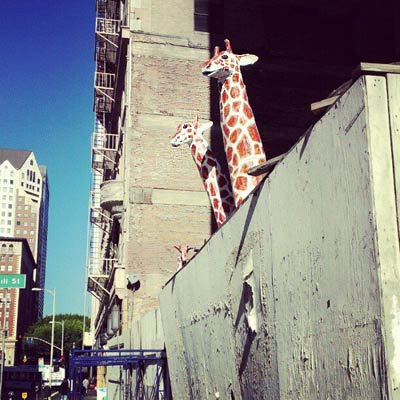 L.A. is a zoo with giraffes